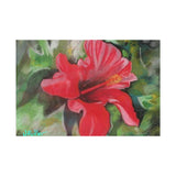 Matte Horizontal Posters